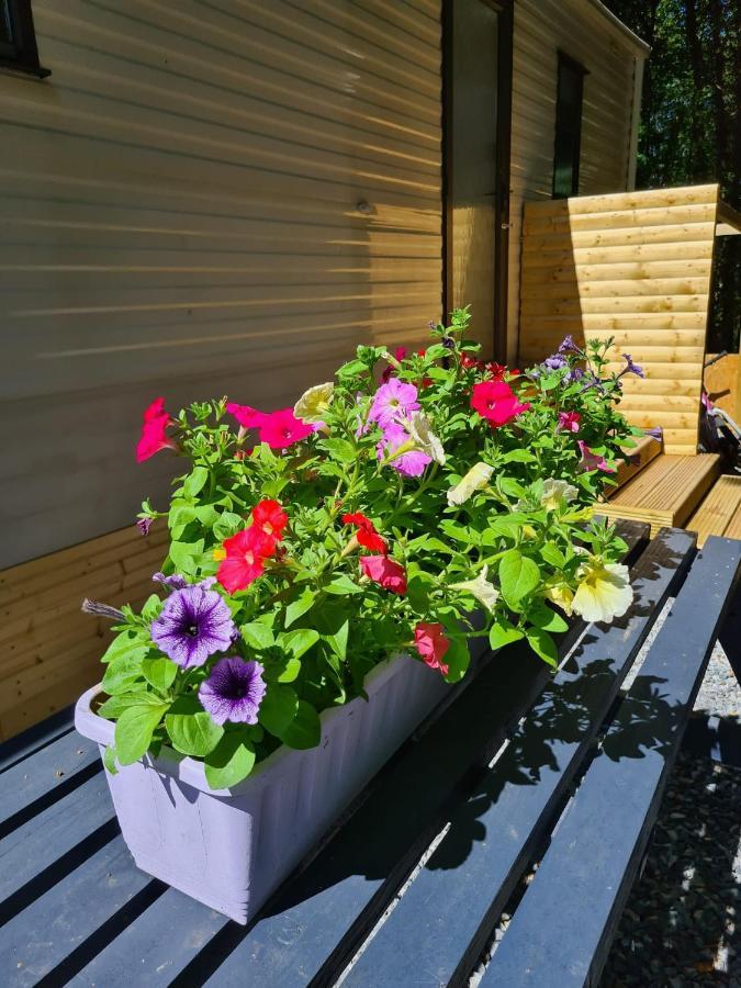 Unique Caravan With Outdoor Space Ballantrae Ngoại thất bức ảnh